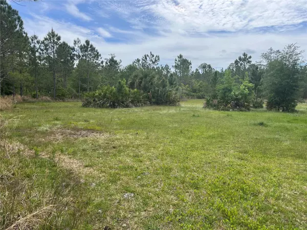 Palm Coast, FL 32164,00 ETNA WAY