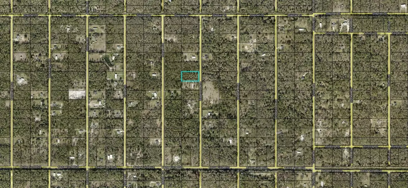XX WEATHERBY AVE, Hastings, FL 32145