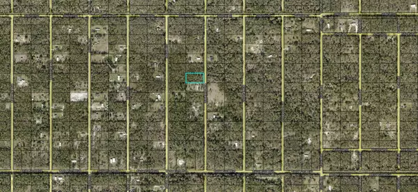 XX WEATHERBY AVE, Hastings, FL 32145