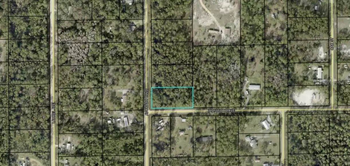 2147 AVOCADO BLVD, Bunnell, FL 32110