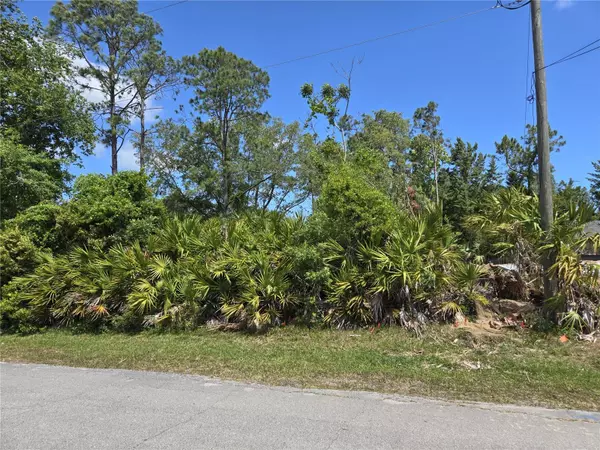 Palm Coast, FL 32164,9 PHILMONT LN