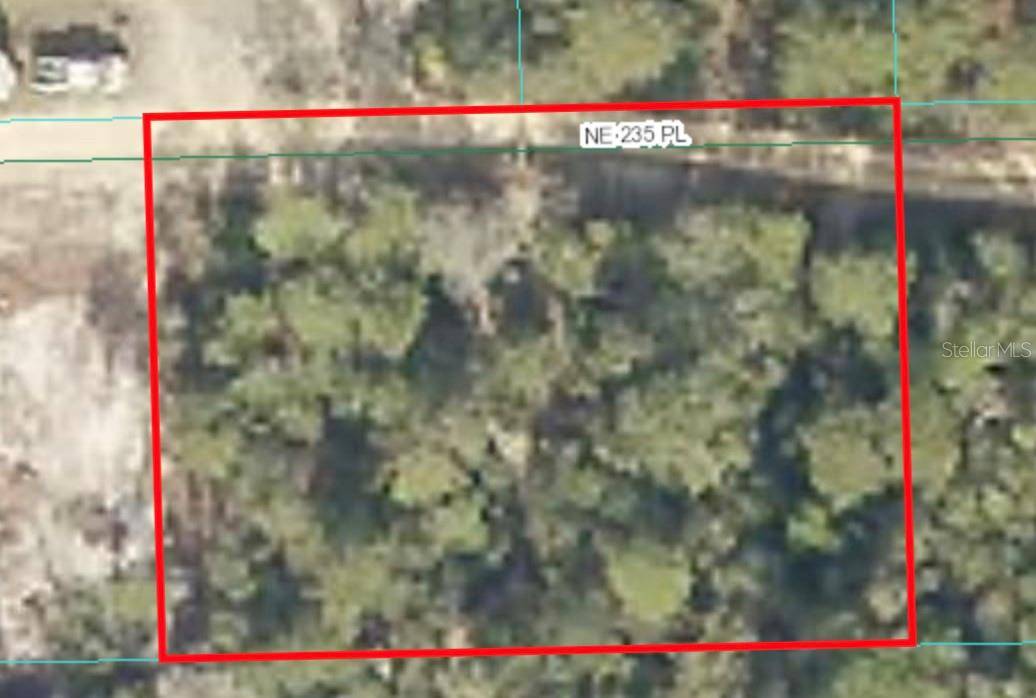 235 PL, Fort Mc Coy, FL 32134