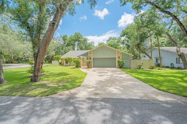 Ormond Beach, FL 32174,317 OAK FERN CIR