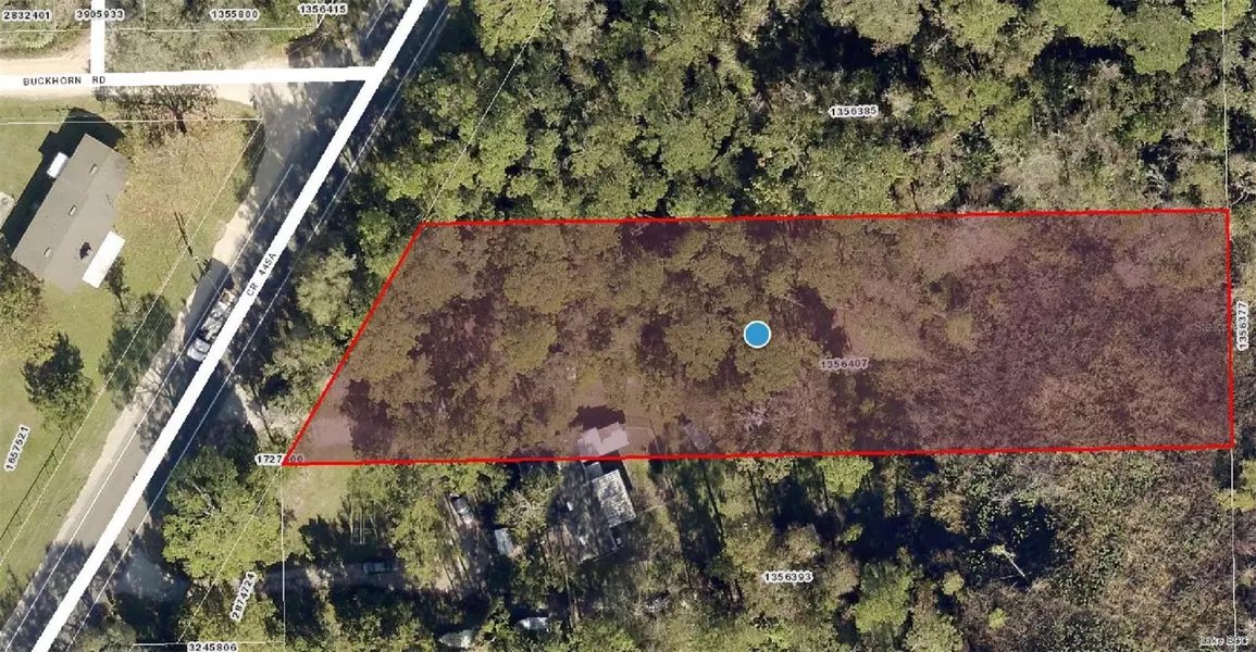 COUNTY ROAD 445A, Astor, FL 32102