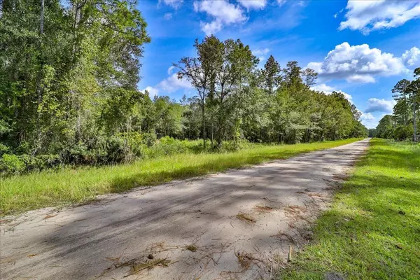 Bunnell, FL 32110,5860 BUCKEYE LN