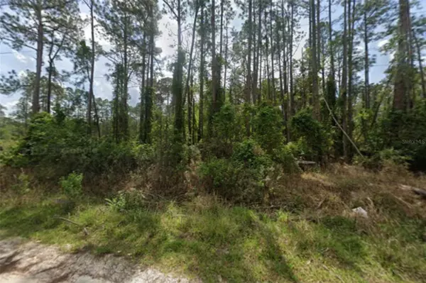 Georgetown, FL 32139,105 PINE CONE DR