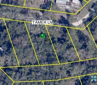 TAMER LN, Dade City, FL 33523