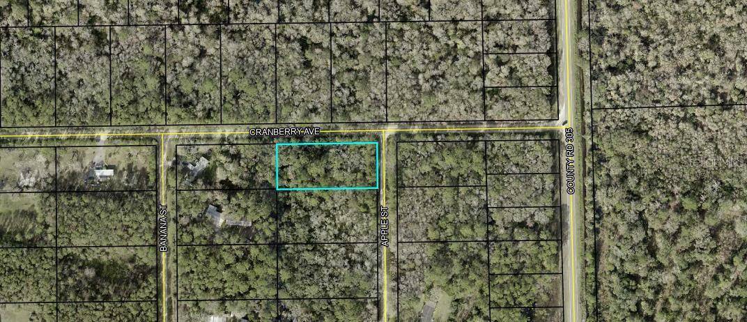 3615 CRANBERRY AVE AVE, Bunnell, FL 32110