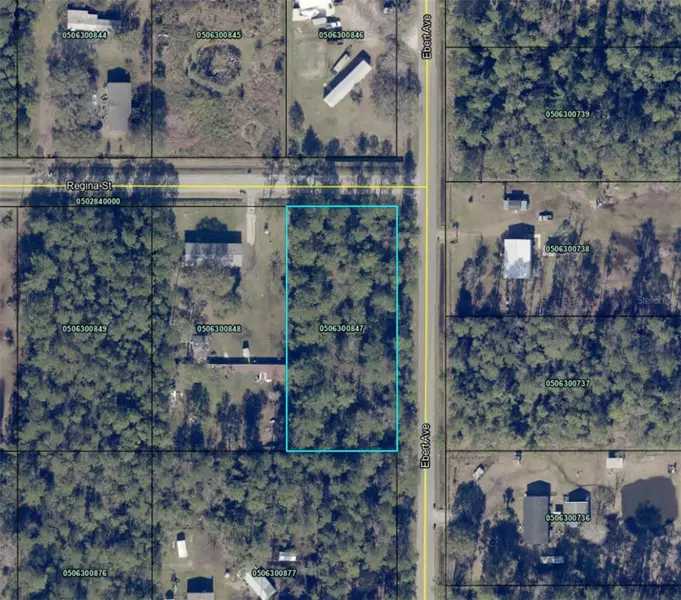 4205 REGINA ST, Hastings, FL 32145