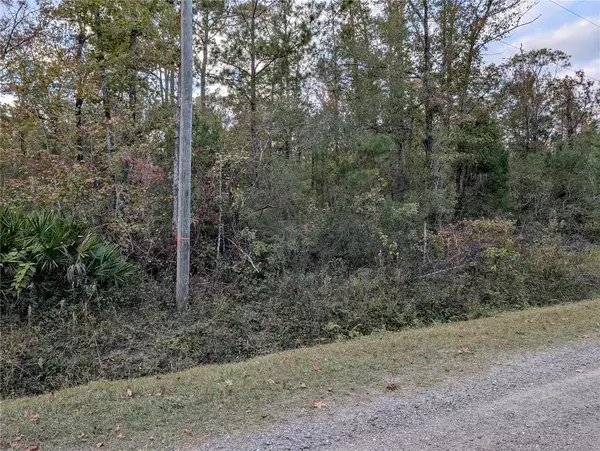 Hastings, FL 32145,10655 TURPIN AVE