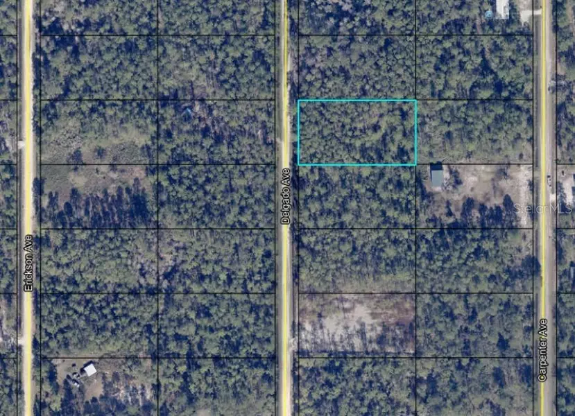 10680 DELGADO AVE, Hastings, FL 32145