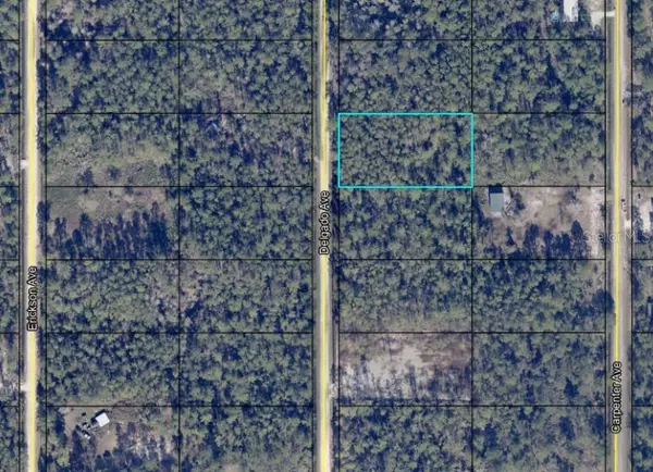 10680 DELGADO AVE, Hastings, FL 32145