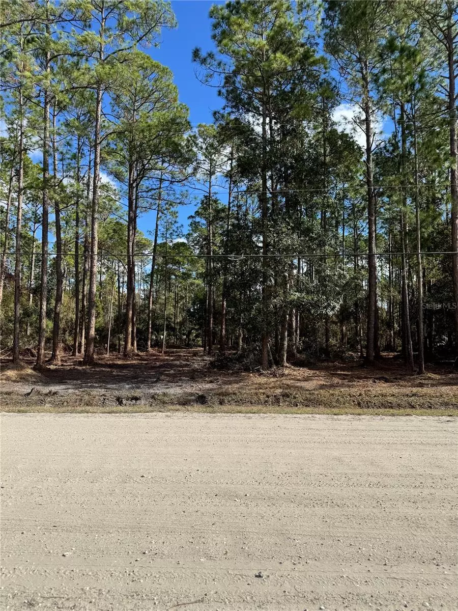Bunnell, FL 32110,1823 HICKORY ST