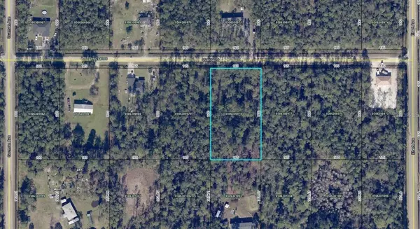 4235 WANDA ST, Hastings, FL 32145