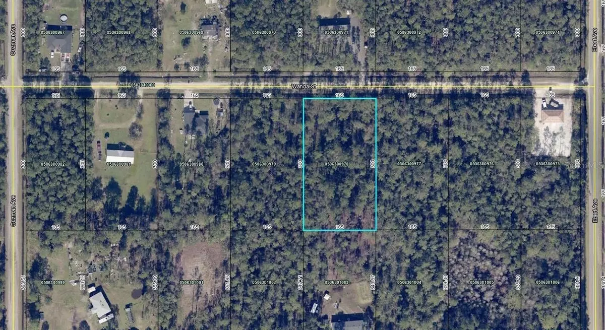 Hastings, FL 32145,4235 WANDA ST