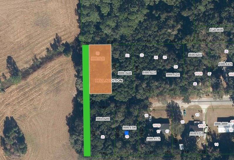 XX FULLWOOD AVE, Crescent City, FL 32112