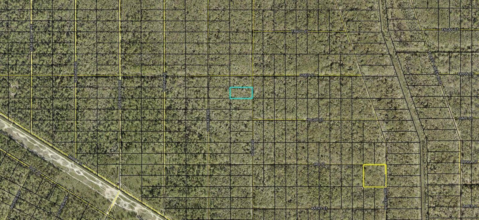 Hastings, FL 32145,XXX RUTH AVE. AVE