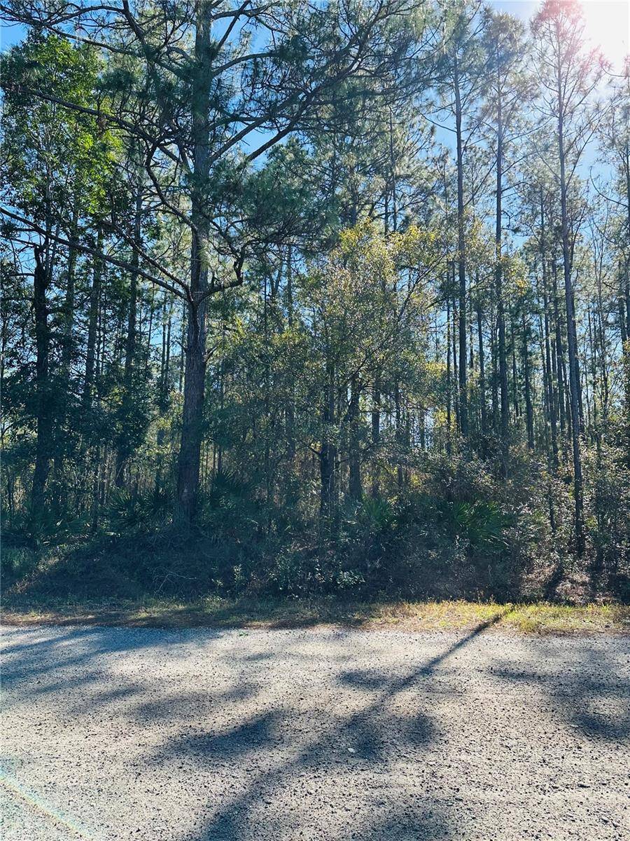 Hastings, FL 32145,4315 THERESA ST