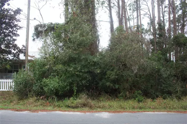 412 BRYAN ST, Flagler Beach, FL 32136