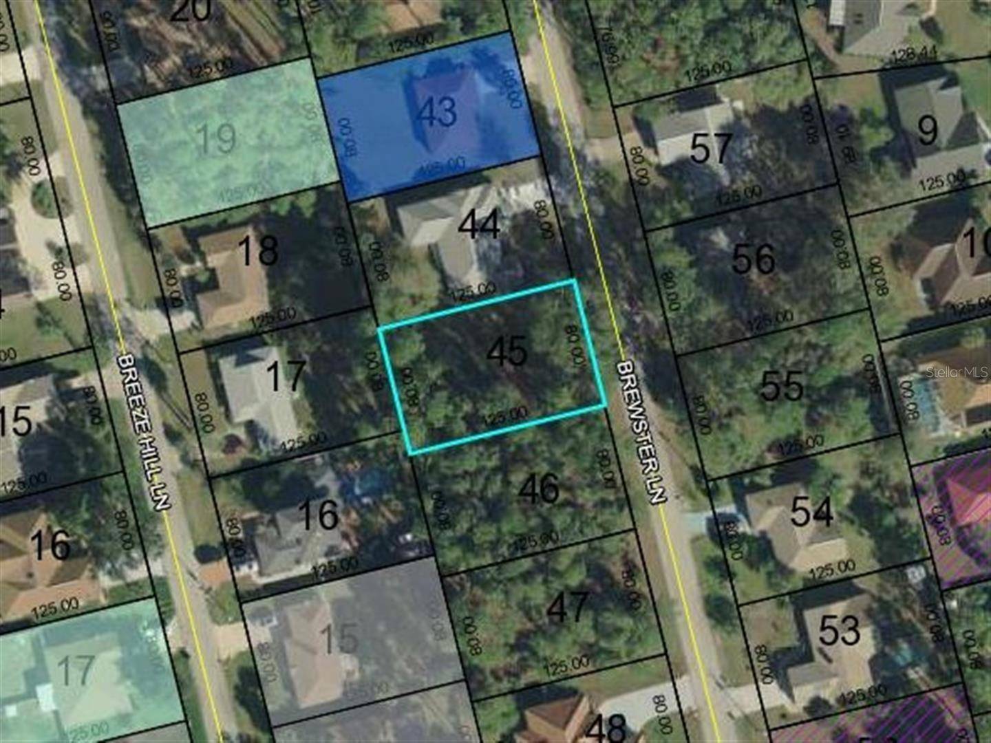 Palm Coast, FL 32137,75 BREWSTER LN