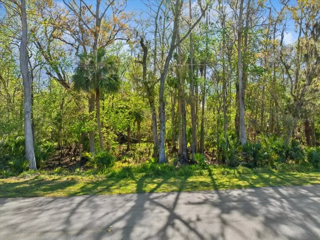 Palm Coast, FL 32137,138 BLARE DR
