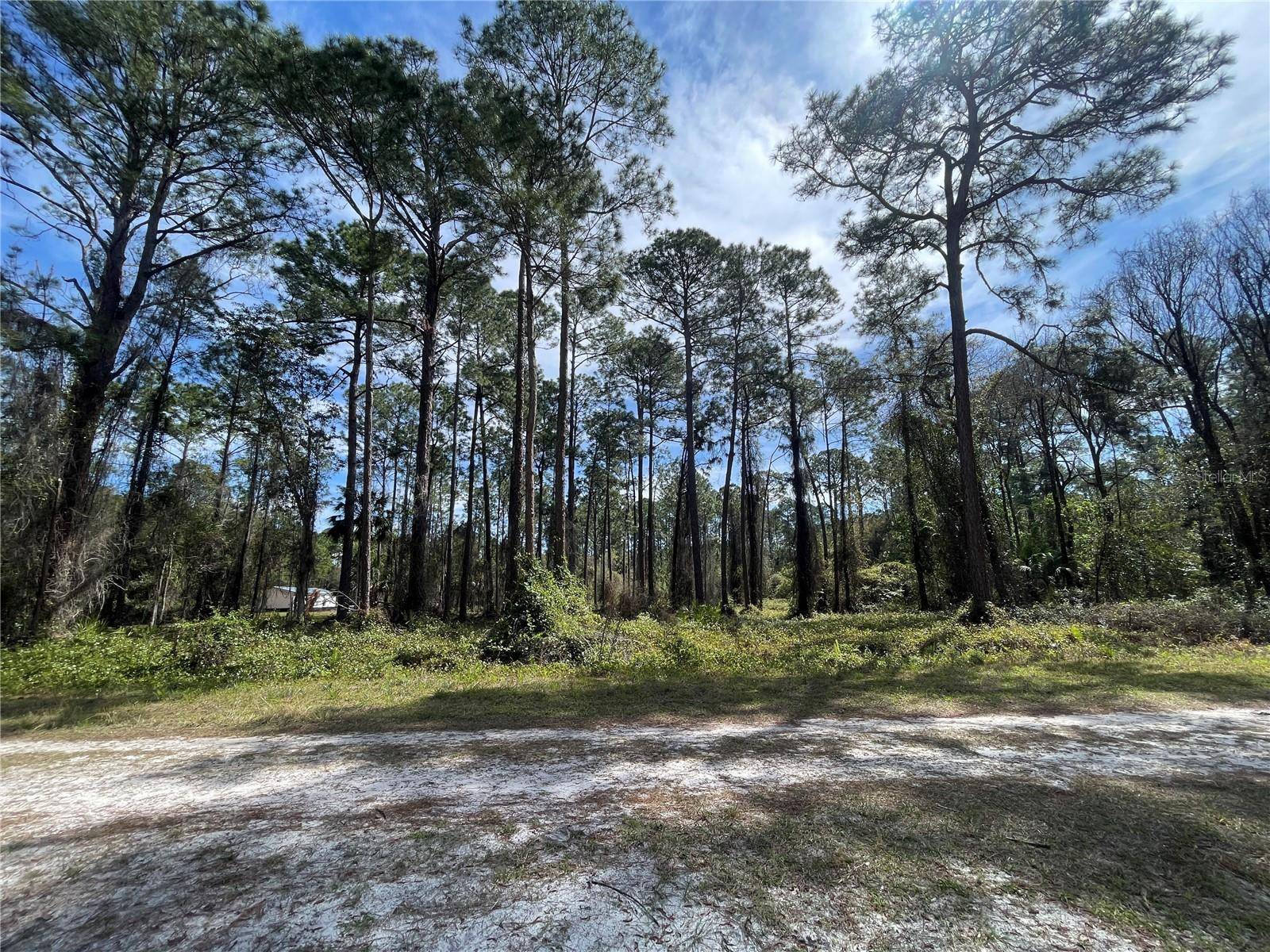 Georgetown, FL 32139,105 ROSEWOOD ST