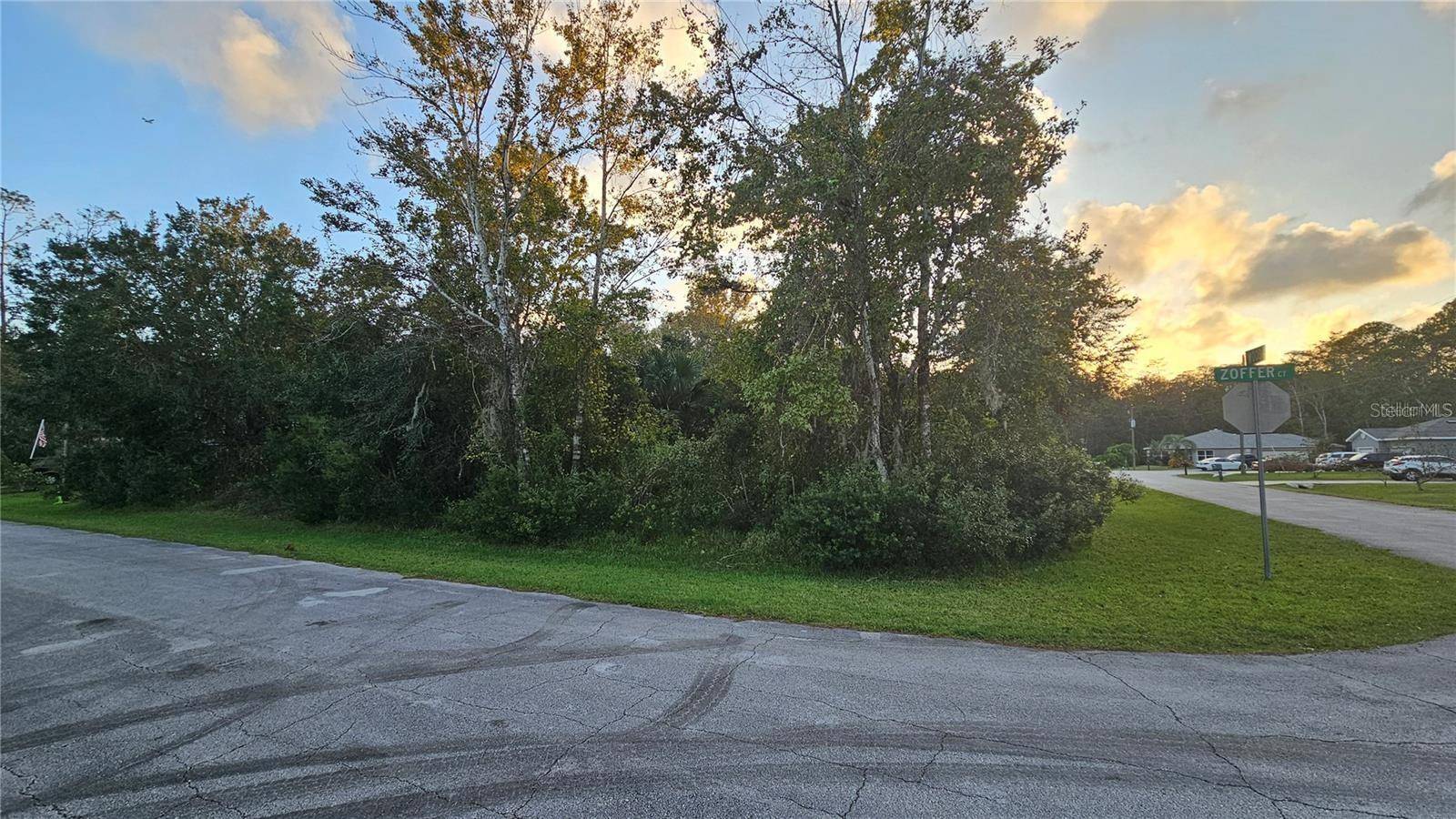 Palm Coast, FL 32164,1 ZOFFWOOD CT