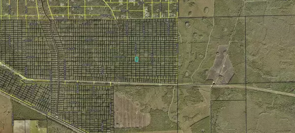 XXX DONNA ST, Hastings, FL 32145
