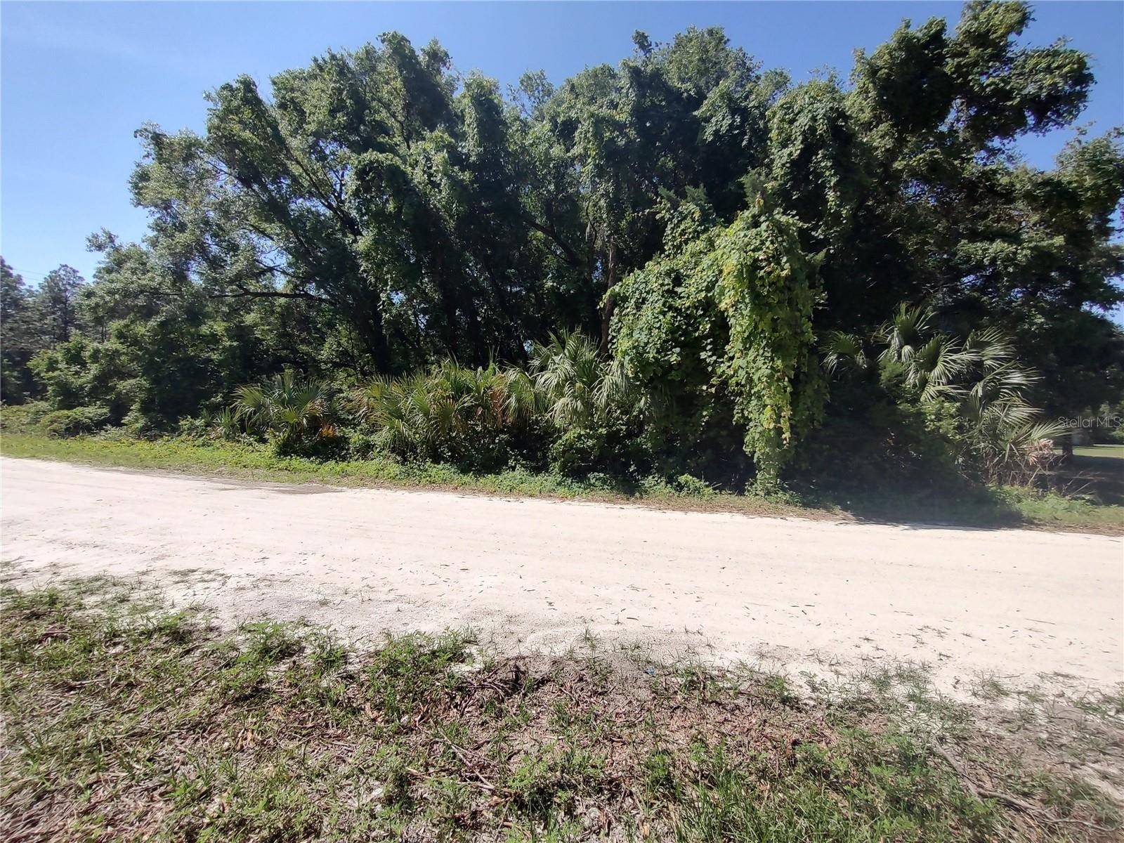 Satsuma, FL 32189,101 HUDSON DR