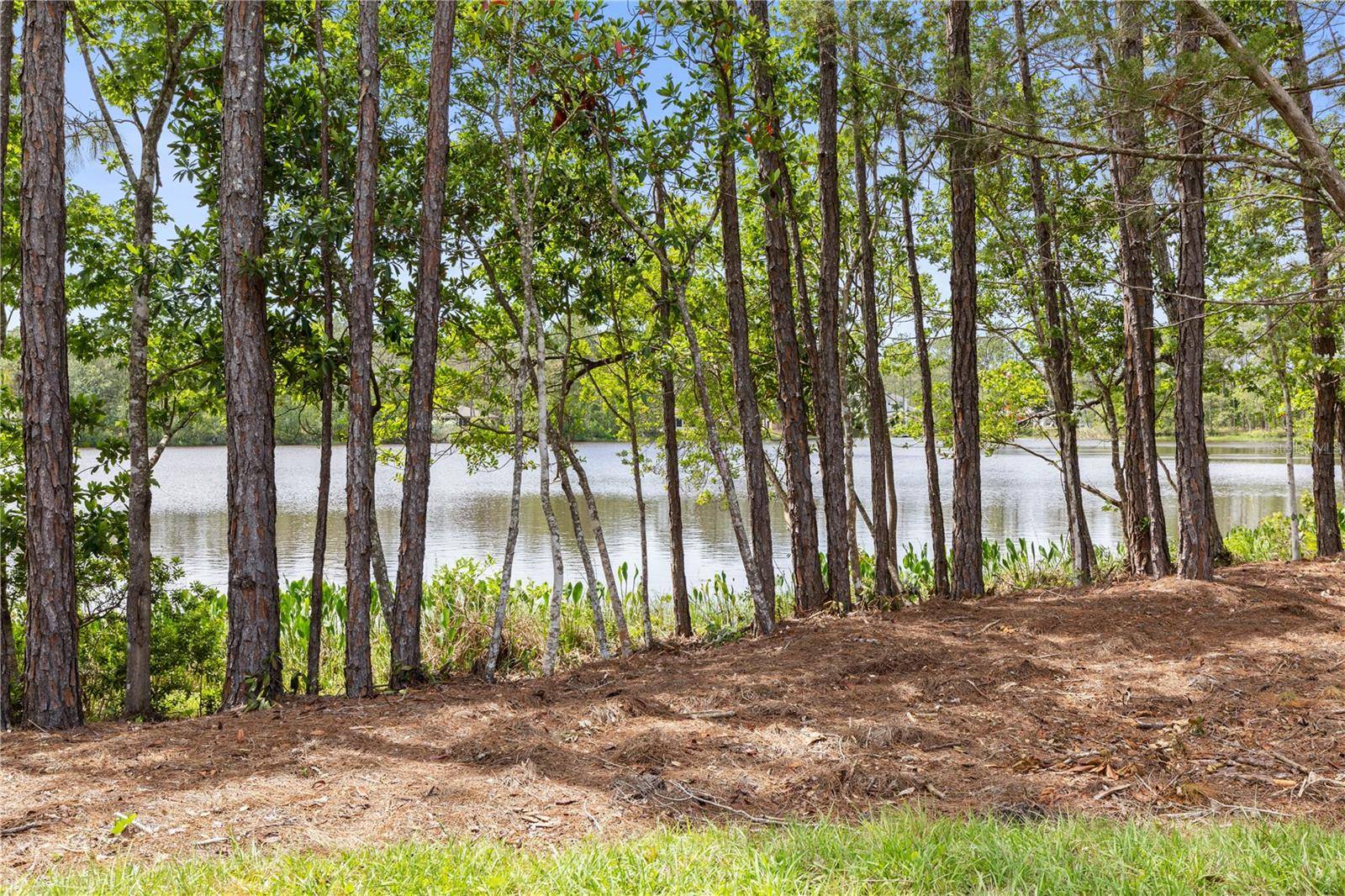 Palm Coast, FL 32164,9 KALORAMA CT