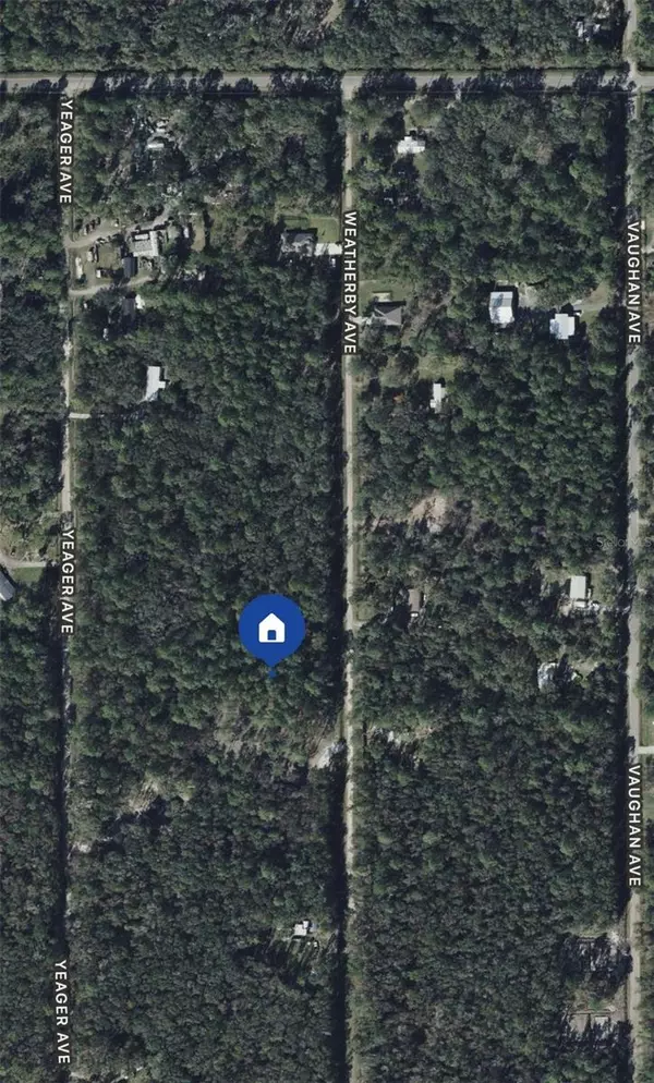 10105 WEATHERBY AVE, Hastings, FL 32145