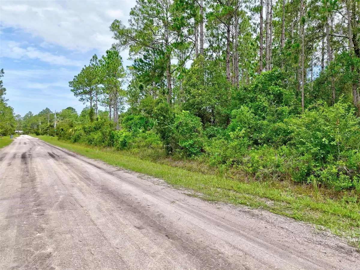 Bunnell, FL 32110,4168 FRUITWOOD AVE