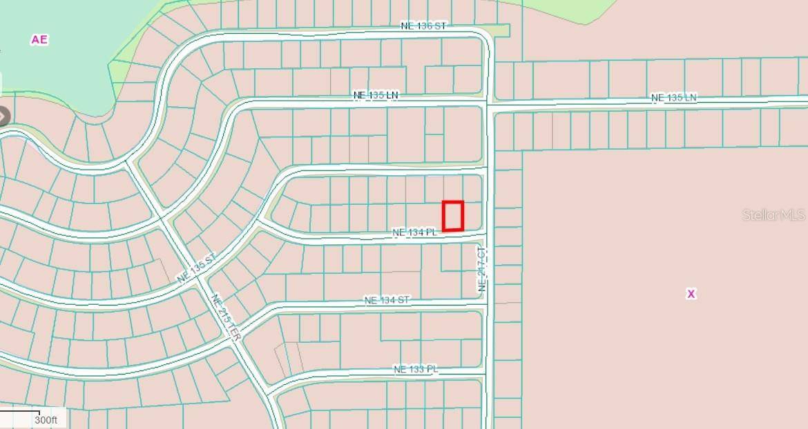 Salt Springs, FL 32134,NE 134 PL