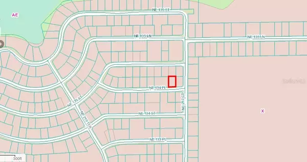 Salt Springs, FL 32134,NE 134 PL