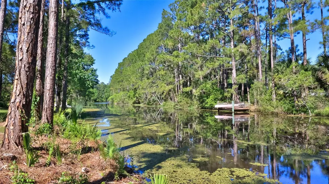 64 WHITTINGTON DR, Palm Coast, FL 32164