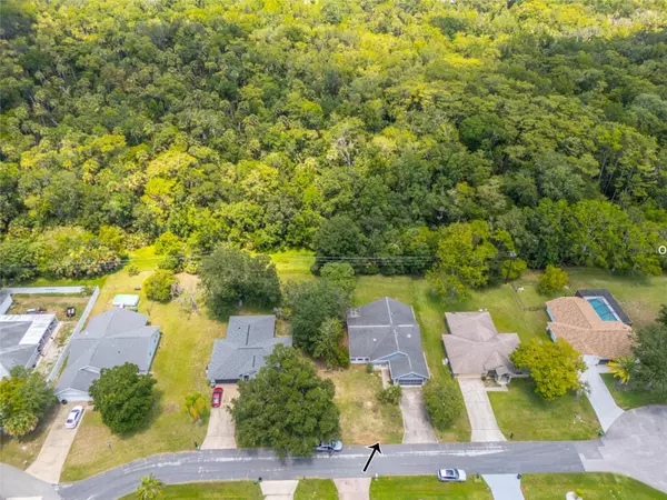 Palm Coast, FL 32137,7 BLACKTHORN CT