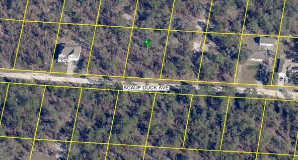 15163 SCAUP DUCK AVE, Weeki Wachee, FL 34614