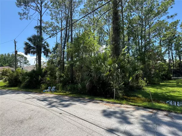 Palm Coast, FL 32164,4 POTTERVILLE LN