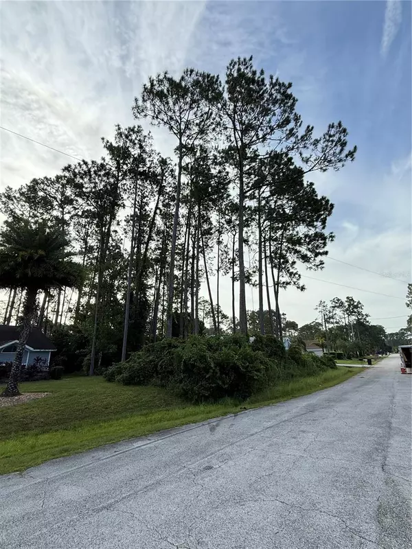 Palm Coast, FL 32164,17 EGAN DR