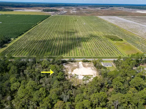 Hastings, FL 32145,10340 ISAACSON AVE