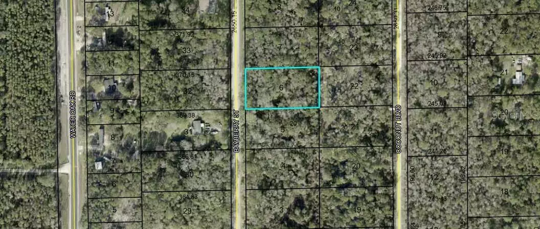 1817 BAYBERRY ST, Bunnell, FL 32110