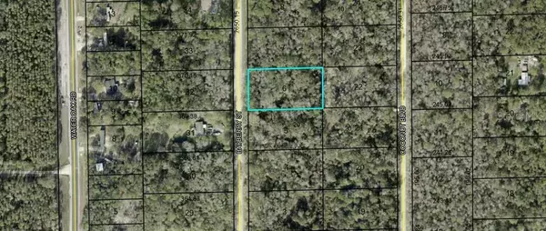 1817 BAYBERRY ST, Bunnell, FL 32110