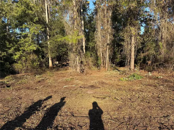 Bunnell, FL 32110,1881 HAZELNUT ST