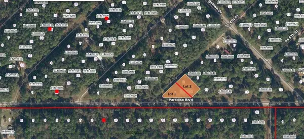 Georgetown, FL 32139,SE 4TH ST