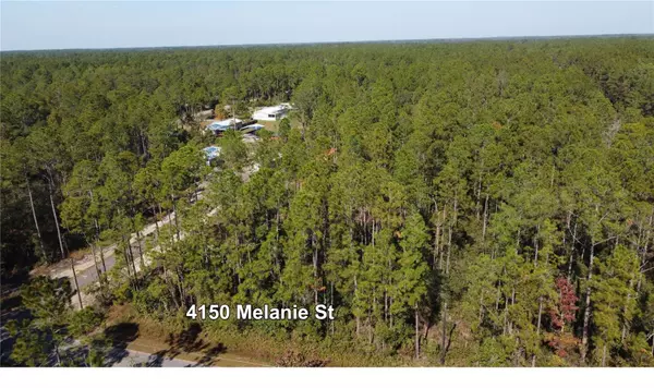 Hastings, FL 32145,4150 MELANIE ST