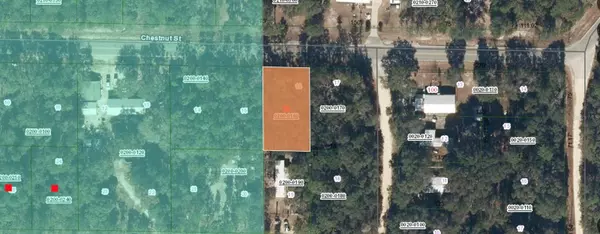 Interlachen, FL 32148,113 CHESTNUT ST