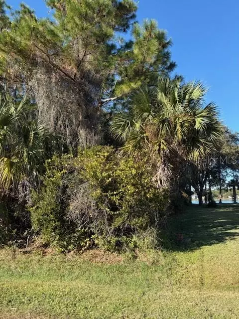 Palm Coast, FL 32137,8 BILL CT