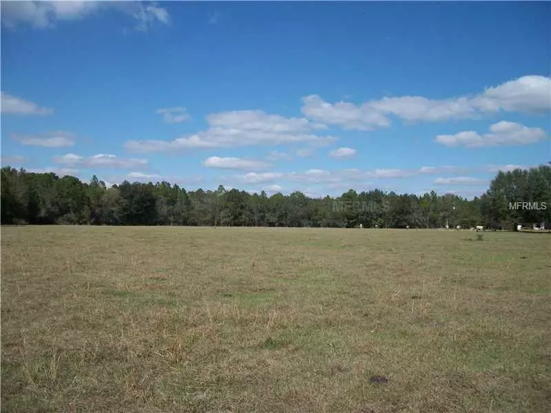 Groveland, FL 34736,BAY LAKE LOOP