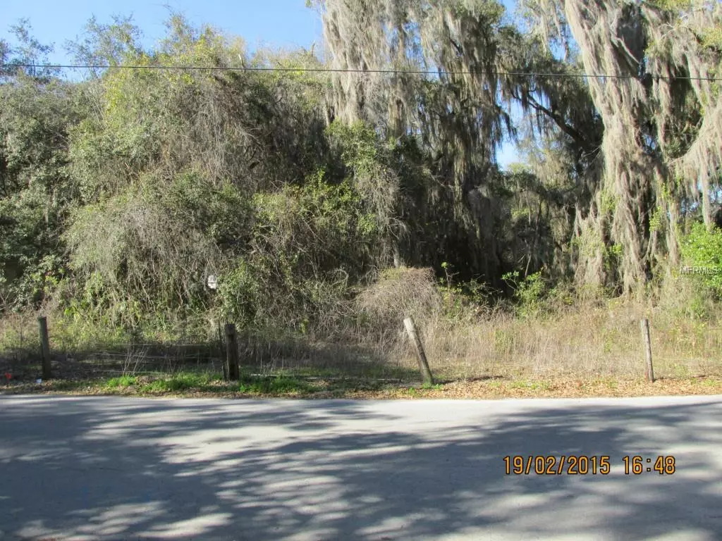 Lake Panasoffkee, FL 33538,CR 464