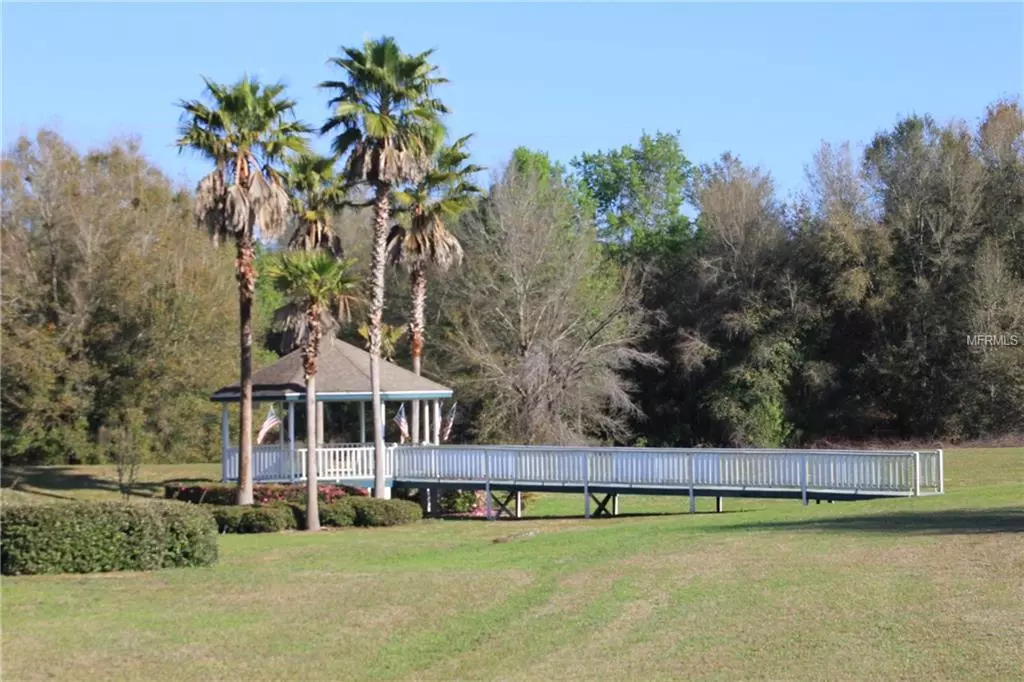 Lady Lake, FL 32159,OAK POINTE